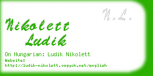 nikolett ludik business card